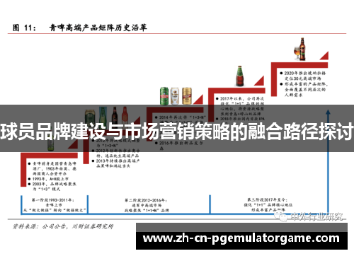 球员品牌建设与市场营销策略的融合路径探讨