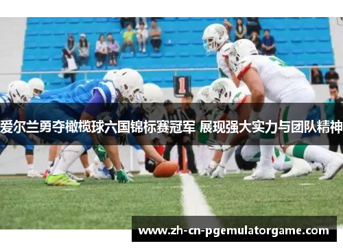爱尔兰勇夺橄榄球六国锦标赛冠军 展现强大实力与团队精神 爱尔兰勇夺橄榄球六国锦标赛冠军 展现强大实力与团队精神